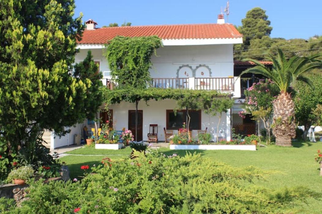 Lila Apartament