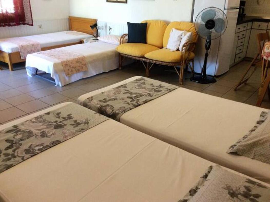 Apartment Lila